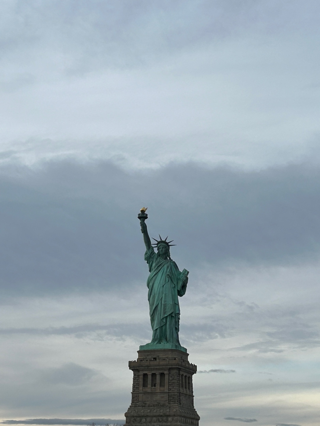 1736397781608-4.jpg